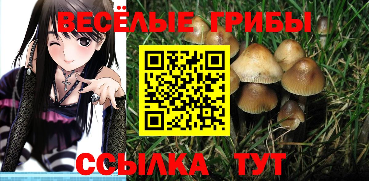 Псилоцибиновые грибы мицелий  Вход с VPN  наркотики  Каспийск 